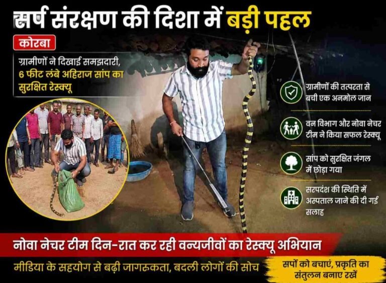 कोरबा: ग्रामीणों ने नहीं मारा सांप, वन विभाग और नोवा नेचर टीम ने किया सुरक्षित रेस्क्यू
